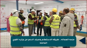 منحة العمالة.. طريقة الاستعلام وصرف الدعم من وزارة القوى العاملة